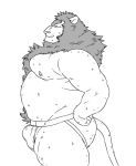  anthro belly bodily_fluids bulge butt clothing felid humanoid_hands jockstrap lion male mammal moobs nipples overweight overweight_male pantherine solo sweat tetsuo_oshiba underwear 