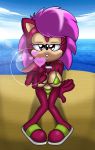  absurd_res beach bikini breasts clothing eulipotyphlan female hedgehog hi_res kissing mammal seaside solo sonia_the_hedgehog sonic_the_hedgehog_(series) sonic_underground sonictopfan swimwear 