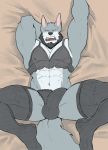  2019 abs anthro balls beard bed biceps bra bulge canid canine canis clothed clothing digital_media_(artwork) erection facial_hair fur furniture grey_body grey_fur hi_res invalid_tag legwear lingerie looking_at_viewer lying male mammal muscular muscular_male navel nipples on_bed open_mouth panties pecs penis presenting purpledragonrei solo spread_legs spreading stockings teeth tongue underwear white_body white_fur wolf 