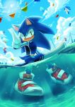  2018 absurd_res anthro blue_body blue_fur clothing cloud detailed_background eulipotyphlan footwear fur gloves green_eyes handwear hedgehog hi_res male mammal mario mario_bros nintendo olympics partially_submerged shirt shoes sitting sky smile solo sonic_the_hedgehog sonic_the_hedgehog_(series) spacecolonie surfboard topwear video_games water 