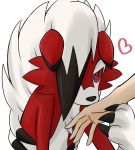  &lt;3 ambiguous_gender claws feral fur hair hair_over_eye human kissing_hand lycanroc mammal midnight_lycanroc nintendo odaibako one_eye_obstructed pok&eacute;mon pok&eacute;mon_(species) red_body red_eyes red_fur stardust_425 video_games 