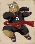  2009 anthro brown_body brown_fur canid canine clothed clothing fur humanoid_hands kiyo male mammal ninja slightly_chubby solo warrior 