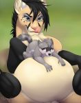  2016 anthro belly belly_rub big_belly black_legs black_mane blue_eyes blush chest_tuft claws digitigrade duo facial_markings felid feral fur green_background grey_body grey_fur grin head_markings hi_res larger_male licking licking_lips lion lying male male/male mammal mane markings nummynumz on_back pantherine procyonid quadruped raccoon self_lick simple_background size_difference skippy_(cryptor13) smaller_male smile striped_tail stripes tan_body tan_fur tartii_(character) tongue tongue_out tuft vore yellow_sclera 