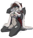  alpha_channel anthro black_nose blue_eyes breasts brown_hair canid canine canis cape christmas clothing female fur grey_body grey_fur hair holidays mammal navel nipples nude pussy simple_background solo tala_(fluff-kevlar) transparent_background wolf yawg 
