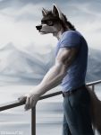  2019 anthro blue_eyes canid canine canis digital_media_(artwork) geewolf hi_res male mammal rakan scar wolf 