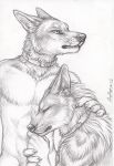  2020 5_fingers anthro black_nose canid canine collar fingers fur male mammal nude rukis traditional_media_(artwork) 
