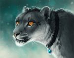  2020 amber_eyes ambiguous_gender black_lips collar deyvarah digital_media_(artwork) felid feral fur grey_body grey_fur leopard lips mammal pantherine solo whiskers 