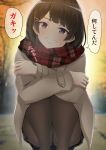  1girl arms_on_knees ashino_moto aura bangs bare_tree blue_eyes blurry blurry_background blush brown_coat brown_hair brown_legwear coat commentary_request crossed_arms depth_of_field eyebrows_visible_through_hair feet_out_of_frame grin hair_ornament hairclip head_tilt highres looking_at_viewer miniskirt nijisanji outdoors pantyhose plaid plaid_scarf plaid_skirt scarf shiny shiny_hair short_hair skirt smile solo squatting teeth translation_request tree tsukino_mito twilight virtual_youtuber 