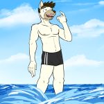  areola athletic beard bulge canid canine canis clothed clothing domestic_dog facial_hair fuze male mammal mustache navel nipples partially_submerged sea swimming_trunks swimwear topless water wolfgang_(fuze) 