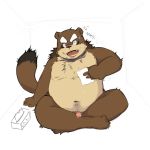  1:1 2008 after_masturbation anthro belly blush brown_body brown_fur canid canine eyes_closed fur humanoid_hands humanoid_penis kemono maguro male mammal moobs navel nipples overweight overweight_male penis raccoon_dog sitting solo tanuki 