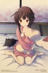  absurdres bed cat chomusuke highres kono_subarashii_sekai_ni_shukufuku_wo! megumin messy_hair mishima_kurone official_art pillow pillow_hug 