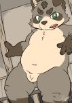  2020 absurd_res anthro balls belly brown_body brown_fur canid canine fur genitals green_eyes hi_res humanoid_hands kemono male mammal navel overweight overweight_male penis raccoon_dog sitting solo tanuki tiri_mama young 
