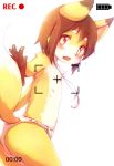  anthro asian_clothing blush brown_hair canid canine clothed clothing cub east_asian_clothing fox fundoshi hair hi_res japanese_clothing kasasagi kemono male mammal open_mouth recording short_hair solo topless underwear young 