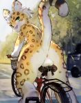  anthro anus backsack balls bicycle blush bodily_fluids car cum dr.kiyo exhibitionism felid genital_fluids genitals green_eyes hi_res kemono leopard male mammal outside pantherine presenting presenting_anus presenting_balls public public_nudity solo vehicle 