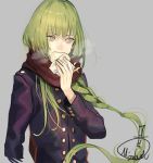  1boy alternate_hairstyle androgynous arm_at_side bangs baozi biting braid coat eating enkidu_(fate/strange_fake) enpera fate/strange_fake fate_(series) food green_eyes green_hair grey_background holding holding_food long_hair long_sleeves looking_away mizutame_tori red_scarf scarf sideways_glance simple_background single_braid solo steam upper_body wrapper 