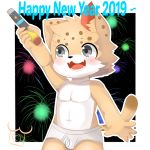  1:1 2019 anthro bulge choki clothing cub felid feline fireworks fur hi_res holidays male mammal new_year smile solo underwear young 