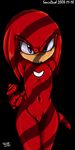 knuckles_the_echidna sonic_team sonicdash tagme 