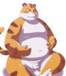  2012 anthro arufina_w balls belly felid flaccid genitals hi_res humanoid_hands humanoid_penis kemono male mammal moobs navel nipples one_eye_closed overweight overweight_male pantherine penis simple_background solo tiger white_background wink 