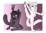  2019 4_fingers 4_toes absurd_res alexis_(lemmy_niscuit) alpha_channel anthro black_body black_fur black_hair clitoris clothing cub digital_media_(artwork) domestic_cat duo felid feline felis female fingers flat_chested full-length_portrait fur genitals green_eyes hair hi_res invalid_tag lauren_(lemmy_niscuit) long_hair looking_at_viewer mammal model_sheet navel nipples nude open_mouth pawpads plantigrade portrait pussy short_hair simple_background sitting smile spread_legs spreading stretching toes toodledipsy white_body white_fur white_hair yellow_eyes young 