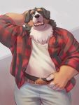  2020 5_fingers absurd_res adios anthro belt bernese_mountain_dog bottomwear canid canine canis clothing domestic_dog fingers hi_res jeans male mammal molosser mountain_dog pants plaid shirt solo swiss_mountain_dog topwear 