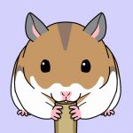  1:1 ambiguous_gender animated cricetid eating feral grey_ears hamster low_res mammal misleading_thumbnail multicolored_body rodent shoudoubutsu simple_background white_body 