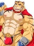  abs anthro biceps blue_eyes build_tiger build_tiger_(character) cape clothing felid fur hi_res male mammal multicolored_body multicolored_fur muscular muscular_male nipples orange_body orange_fur pantherine pecs pubes simple_background solo striped_body striped_fur stripes tan_body tan_fur tiger two_tone_body two_tone_fur wasabimayo white_background 