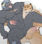  abs anthro anus balls blush bodily_fluids erection felid genital_fluids genitals hombretigre humanoid_penis imminent_sex krampus_(housamo) male male/male mammal muscular muscular_male nipples pantherine pecs penis precum sweat tiger tokyo_afterschool_summoners tongue video_games wajirogi 