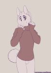  absurd_res anthro balls bottomless canid canine clothed clothing fur genitals hi_res looking_at_viewer male mammal shiuk simple_background solo sweater topwear 