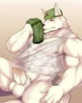  617foreverwithy anthro balls canid canine clothed clothing erection fur genitals green_clothing green_headwear headgear headwear hi_res holding_clothing male mammal muscular muscular_male one_eye_closed penis translucent translucent_clothing translucent_topwear white_body white_fur 