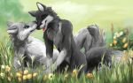  16:10 2014 anthro arm_support black_nose blue_eyes brown_body brown_fur canid canine canis cheek_tuft detailed duo eyes_closed facial_tuft flower fluffy fluffy_tail fur grass grey_body grey_fur inner_ear_fluff mammal neck_tuft nude outside plant snowfoxatheart tongue tongue_out tuft white_body white_fur wolf 