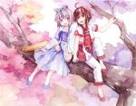  2girls brown_eyes brown_hair cherry_blossoms dress feng_you grey_eyes in_tree luo_tianyi multiple_girls pink_hair sitting sitting_in_tree tree tree_branch umbrella vocaloid vsinger yuezheng_ling 