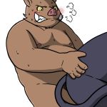  1:1 2015 agiran anthro belly blush brown_body brown_fur duo felid feline fur humanoid_hands kemono male mammal moobs nipples overweight overweight_male sex simple_background suid suina sus_(pig) white_background wild_boar 