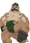  2020 anthro badtiger barazoku black_nose brown_body brown_fur bulge canid canine canis domestic_dog fur hi_res humanoid_hands kemono male mammal nipples scar simple_background solo sumo tokyo_afterschool_summoners video_games white_background yasuyori 