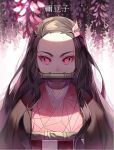  1girl bamboo bit_gag black_hair commentary_request flower forehead gag hair_ribbon japanese_clothes kamado_nezuko kimetsu_no_yaiba kimono long_hair looking_at_viewer mouth_hold pink_eyes pink_kimono pink_ribbon ribbon sal slit_pupils solo translation_request very_long_hair 