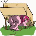  &lt;3 &lt;3_eyes 1:1 2d_animation animated anus ass_up bedroom_eyes big_butt box butt candy candy_cane chocolate equid equine female feral food frame_by_frame friendship_is_magic genitals hi_res horse looking_back mammal my_little_pony narrowed_eyes pinkie_pie_(mlp) pony pussy seductive slimewiz text trap_(contrivance) 