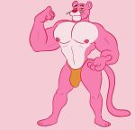  anthro bulge clothing felid flexing fur male mammal muscular muscular_male nipples pantherine pink_body pink_fur pink_panther pink_panther_(series) smile solo speedo swimwear zackdadawg 