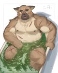  2020 absurd_res anthro bathing belly blush cai1448331577 canid canine canis domestic_dog hi_res kemono male mammal moobs nipples overweight overweight_male scar sitting solo tokyo_afterschool_summoners video_games water yasuyori 