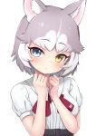  1girl absurdres alternate_costume animal_ears belt blouse blue_eyes casual collared_shirt commentary_request deku_suke dog_(mixed_breed)_(kemono_friends) dog_ears dog_girl eyebrows_visible_through_hair grey_hair heterochromia highres kemono_friends multicolored_hair red_neckwear shirt short_hair short_sleeves solo upper_body white_blouse white_hair yellow_eyes 