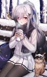  1girl azur_lane bangs bench bird black_legwear blush breasts breathing butterfly_hair_ornament cat cold cup dunkerque_(azur_lane) eternity_(pixiv8012826) eyebrows_visible_through_hair grey_hair hair_ornament hair_over_one_eye hair_ribbon highres holding holding_cup jacket large_breasts long_hair looking_at_viewer outdoors pantyhose pink_eyes ponytail ribbon scarf sidelocks sitting skirt snowing solo tree 