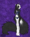  2020 5_fingers alishka anthro black_body black_fur digital_media_(artwork) domestic_cat felid feline felis female fingers fur hair hi_res mammal midriff navel purple_background simple_background solo toes white_hair 