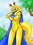  2008 alef breasts camiod canine clothing coat female fox fur mammal nipples open_mouth outside partially_clothed pussy shining_(series) shining_force sky solo standing tree video_games yellow_fur yellow_skin 