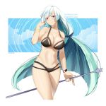  bangs bikini blue_sky blunt_bangs border bracelet breasts brown_bikini brynhildr_(fate) chocojax cleavage cloud cowboy_shot eyebrows_visible_through_hair fate/grand_order fate/prototype fate/prototype:_fragments_of_blue_and_silver fate_(series) green_hair highres jewelry large_breasts long_hair multi-strapped_bikini navel patreon_username purple_eyes sky smile swimsuit watch white_border wristwatch 