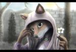  absurd_res canid canine collar disney flower fox fur grass hi_res hood invalid_tag looking_at_viewer maid_marian mammal outside plant raivn_anarki robin_hood_(disney) signaure tree 