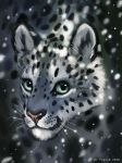  2020 blue_eyes digital_media_(artwork) felid feline flashw fur grey_body grey_fur headshot_portrait mammal portrait spots spotted_body spotted_fur whiskers 