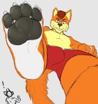  2019 absurd_res anthro bulge canid canine canis claws clothing digital_media_(artwork) erection feet foot_fetish fur hi_res hugelazypanda looking_at_viewer macro male mammal micro pecs ricky_(hugelazypanda) saaxon simple_background size_difference smile stomping toes underwear wolf 