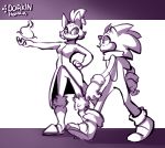  2019 absurd_res anthro biped blaze_the_cat bottomwear breasts clothed clothing digital_media_(artwork) domestic_cat dorkinhorkin duo eulipotyphlan felid feline felis female footwear fully_clothed gloves hair handwear hedgehog hi_res jacket larger_anthro larger_female long_hair looking_at_another magic_user male mammal monochrome pants partially_clothed ponytail shoes signature size_difference smaller_anthro smaller_male sonic_the_hedgehog sonic_the_hedgehog_(series) standing topwear walking 