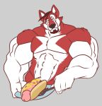  2012 3_fingers 4_fingers abs anthro beard beef_stroganov biceps big_muscles big_penis black_nose brown_hair canid canine canis cartoonjunkie circumcised domestic_dog facial_hair fingers food fur genitals hair hot_dog_bun huge_muscles husky hybrid looking_at_viewer male mammal multicolored_body multicolored_fur muscular muscular_male mustard nordic_sled_dog nude pecs penis pink_penis plate red_body red_fur simple_background smile solo spatula spitz standing tools two_tone_body two_tone_fur vein veiny_penis white_body white_fur wolfdog 