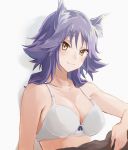  1girl aki_makoto animal_ear_fluff animal_ears artist_request blush bra breasts cleavage collarbone commentary commentary_request eyebrows_visible_through_hair highres large_breasts light_smile long_hair looking_at_viewer princess_connect! princess_connect!_re:dive simple_background underwear white_background white_bra wolf_ears wolf_girl yellow_eyes 