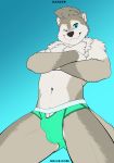  2020 absurd_res anthro arm_tuft athletic biped black_nose black_text blue_eyes bottomwear bulge cheek_tuft clothed clothing crossed_arms danzer digital_drawing_(artwork) digital_media_(artwork) facial_tuft front_view fur green_bottomwear green_clothing grey_body grey_fur head_tuft hi_res inner_ear_fluff looking_at_viewer lutrine male mammal multicolored_body multicolored_fur mustelid navel neck_tuft one_eye_closed portrait shiuk smile solo speedo standing swimwear text three-quarter_portrait topless tuft url white_body white_fur 