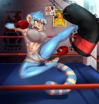  2017 5_toes action_pose anthro bangs bare_shoulders barefoot big_breasts biped blue_body blue_fur blue_hair blue_stripes blue_tail blush bodily_fluids bottomwear bouncing_breasts boxing_gloves breasts callitrichid chain clothing countershade_face countershade_torso countershading crop_top depth_of_field detailed_background digital_media_(artwork) ear_piercing eyebrows eyelashes fangs feet female fighting_ring flying_sweatdrops fur glistening hair hair_between_eyes handwear haplorhine hi_res humanoid_feet inside jumping kick lemur2003_(artist) lips looking_away mammal marmoset midriff monkey motion_lines multicolored_hair navel new_world_monkey nipple_outline panties piercing pink_nose pink_tongue plantar_flexion plantigrade pose poster primate punching_bag ribbons shadow shirt short_hair shorts simi solo sport star striped_body striped_fur striped_tail stripes sweat sweatdrop tan_belly tan_body tan_countershading tan_fur tan_hair tan_stripes tan_tail tank_top teeth toes tongue topwear two_tone_hair underwear yellow_eyes 